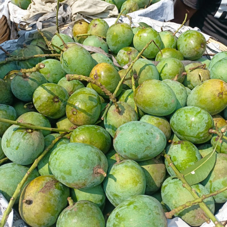 Vintage T9 Electric Rechargeable Trimer