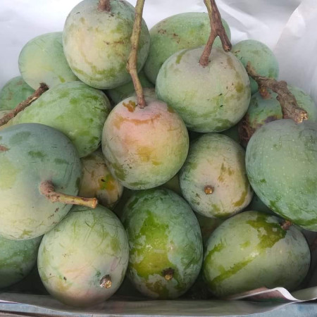 Vintage T9 Electric Rechargeable Trimer