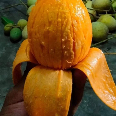 Vintage T9 Electric Rechargeable Trimer